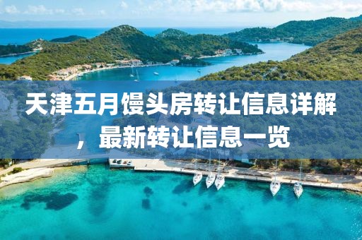 天津五月馒头房转让信息详解，最新转让信息一览