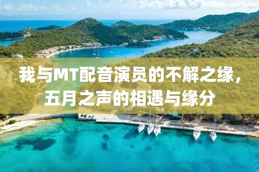 我与MT配音演员的不解之缘，五月之声的相遇与缘分
