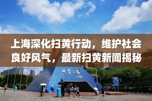 上海深化扫黄行动，维护社会良好风气，最新扫黄新闻揭秘