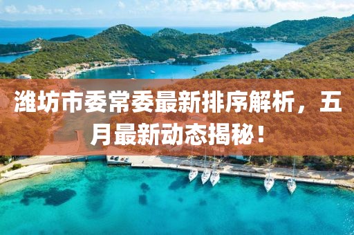潍坊市委常委最新排序解析，五月最新动态揭秘！
