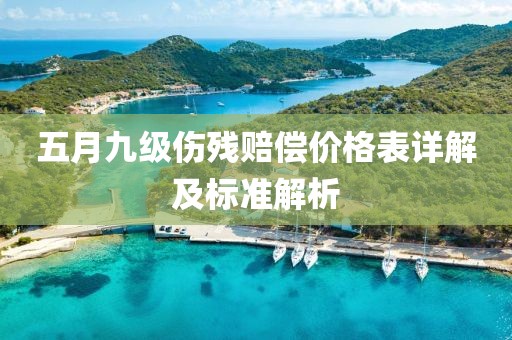 五月九级伤残赔偿价格表详解及标准解析