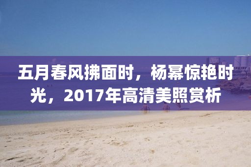 五月春风拂面时，杨幂惊艳时光，2017年高清美照赏析