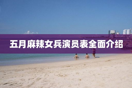 五月麻辣女兵演员表全面介绍