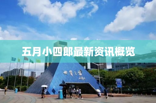 五月小四郎最新资讯概览