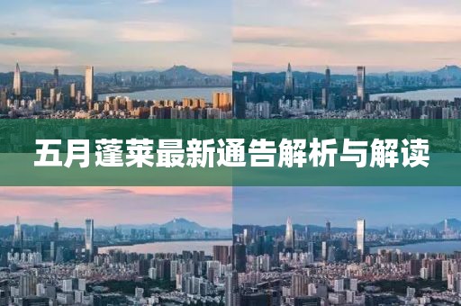 五月蓬莱最新通告解析与解读