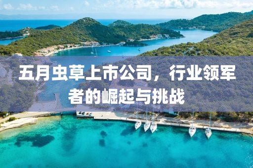 五月虫草上市公司，行业领军者的崛起与挑战