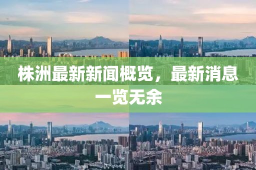 株洲最新新闻概览，最新消息一览无余