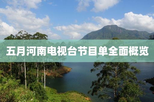五月河南电视台节目单全面概览