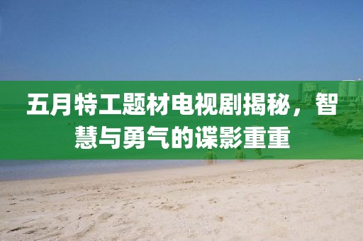 五月特工题材电视剧揭秘，智慧与勇气的谍影重重