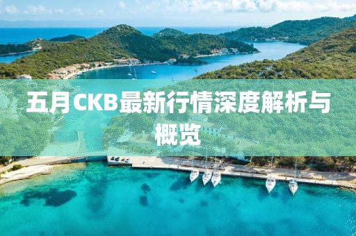 五月CKB最新行情深度解析与概览