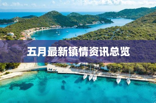 五月最新镇情资讯总览