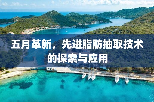 五月革新，先进脂肪抽取技术的探索与应用