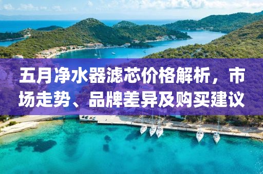 五月净水器滤芯价格解析，市场走势、品牌差异及购买建议