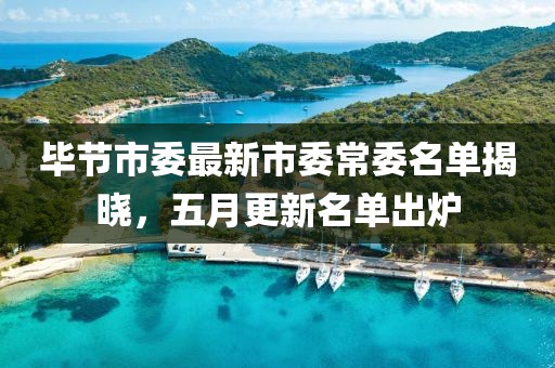 毕节市委最新市委常委名单揭晓，五月更新名单出炉