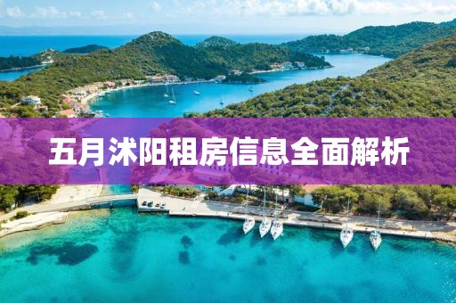五月沭阳租房信息全面解析