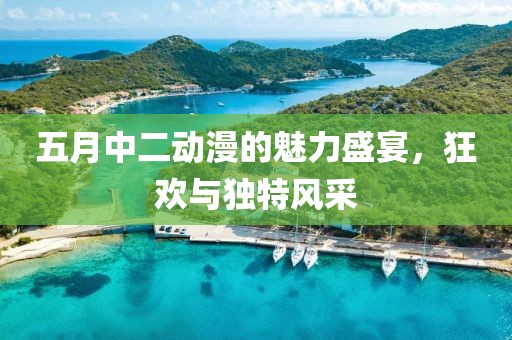 五月中二动漫的魅力盛宴，狂欢与独特风采