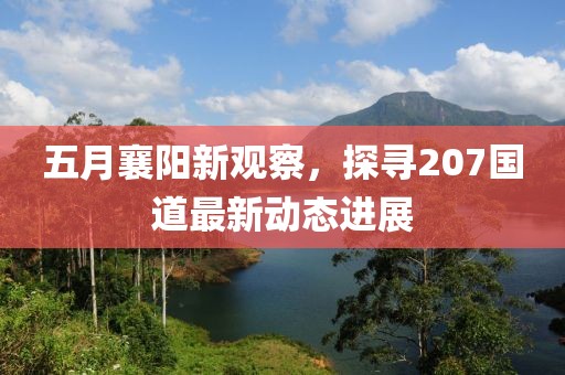 五月襄阳新观察，探寻207国道最新动态进展