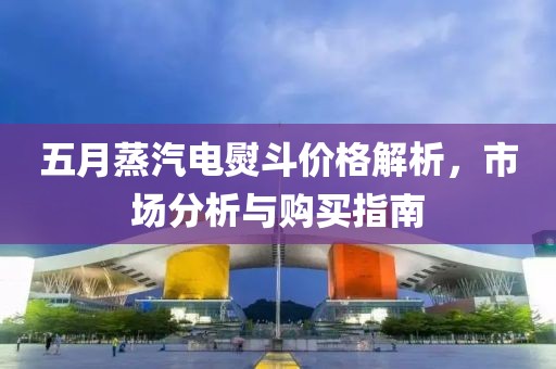 五月蒸汽电熨斗价格解析，市场分析与购买指南