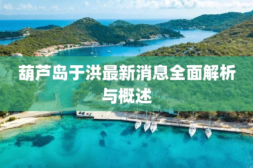 葫芦岛于洪最新消息全面解析与概述