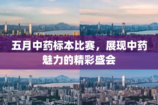 五月中药标本比赛，展现中药魅力的精彩盛会
