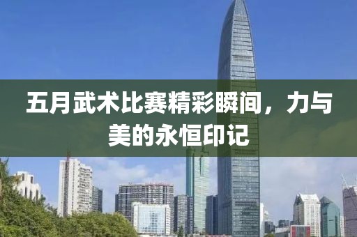 五月武术比赛精彩瞬间，力与美的永恒印记