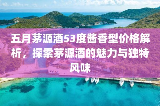 五月茅源酒53度酱香型价格解析，探索茅源酒的魅力与独特风味
