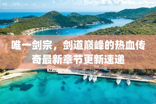 达阳云 第40页