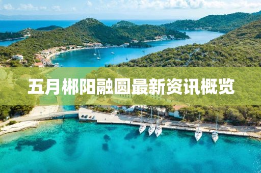 五月郴阳融圆最新资讯概览