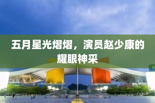 五月星光熠熠，演员赵少康的耀眼神采