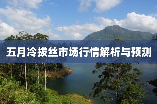 五月冷拔丝市场行情解析与预测