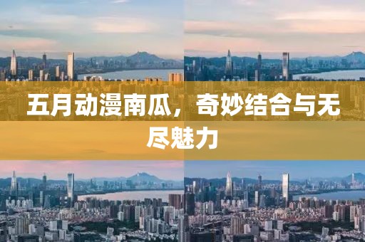 五月动漫南瓜，奇妙结合与无尽魅力