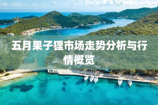 五月果子狸市场走势分析与行情概览