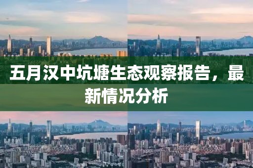 五月汉中坑塘生态观察报告，最新情况分析