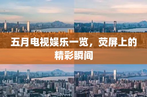 五月电视娱乐一览，荧屏上的精彩瞬间