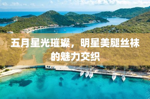 五月星光璀璨，明星美腿丝袜的魅力交织