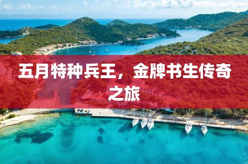 五月特种兵王，金牌书生传奇之旅