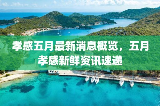 孝感五月最新消息概览，五月孝感新鲜资讯速递