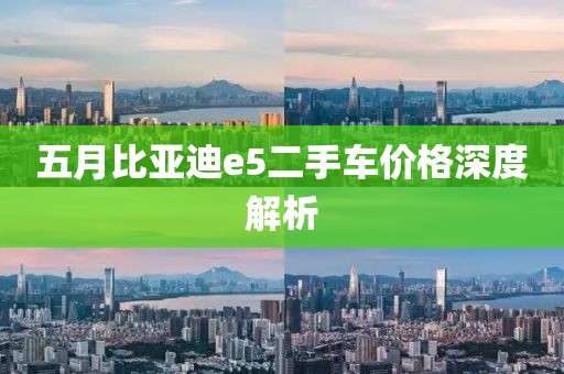五月比亚迪e5二手车价格深度解析