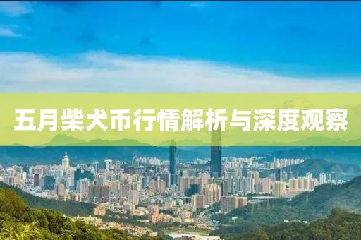 五月柴犬币行情解析与深度观察