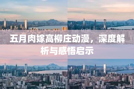 五月肉嫁高柳庄动漫，深度解析与感悟启示