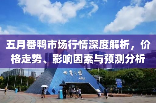 五月番鸭市场行情深度解析，价格走势、影响因素与预测分析
