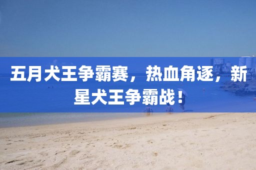 五月犬王争霸赛，热血角逐，新星犬王争霸战！
