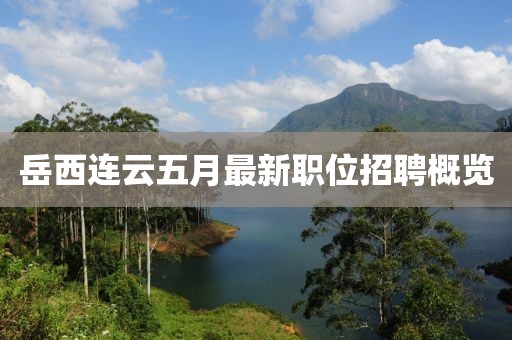 岳西连云五月最新职位招聘概览