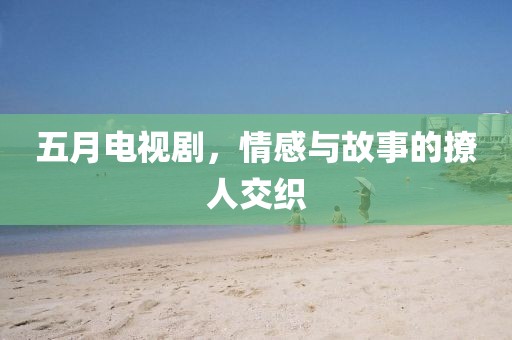 五月电视剧，情感与故事的撩人交织