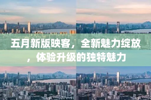 五月新版映客，全新魅力绽放，体验升级的独特魅力