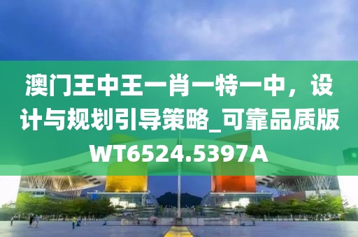 澳门王中王一肖一特一中，设计与规划引导策略_可靠品质版WT6524.5397A