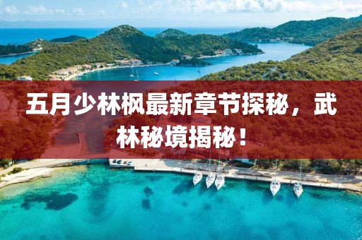 五月少林枫最新章节探秘，武林秘境揭秘！