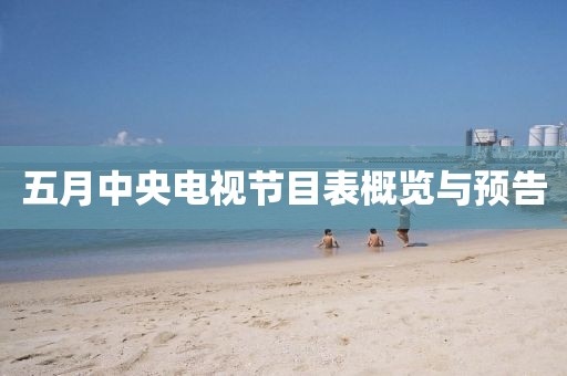 五月中央电视节目表概览与预告