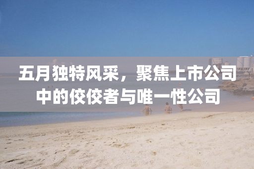 五月独特风采，聚焦上市公司中的佼佼者与唯一性公司