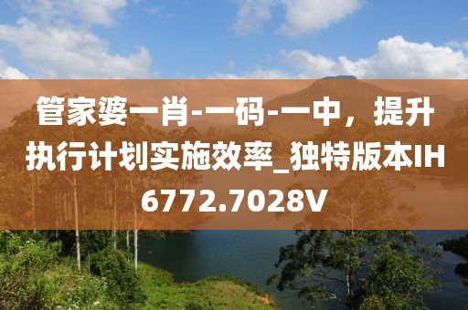 管家婆一肖-一码-一中，提升执行计划实施效率_独特版本IH6772.7028V